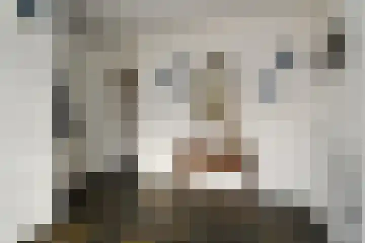 Brummenböske 9 Heibloem thumbnail 14