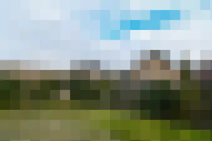 Brummenböske 9 Heibloem thumbnail 19