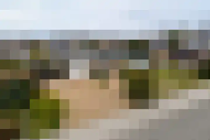 Brummenböske 9 Heibloem thumbnail 22