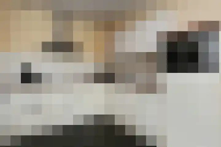 Brummenböske 9 Heibloem thumbnail 7