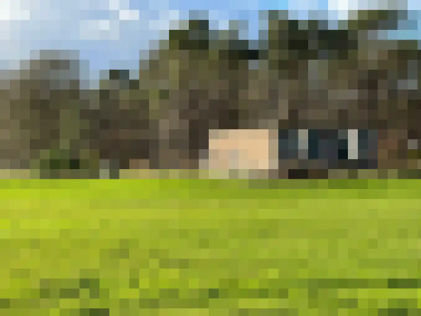 Brummenseweg 4 Eerbeek thumbnail 7