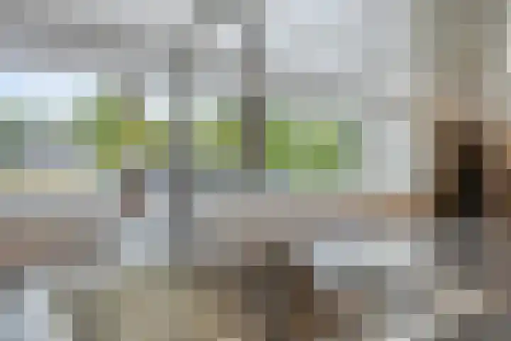 Brummenweg 64 Tilburg thumbnail 16