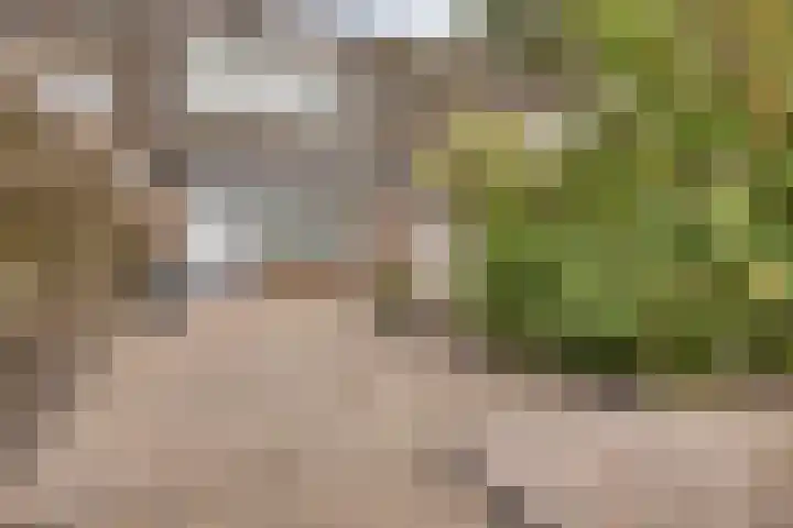 Brummenweg 64 Tilburg thumbnail 24