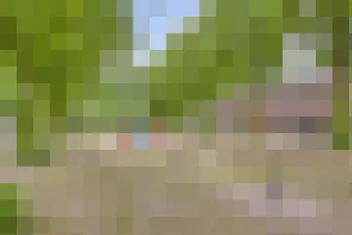 Brummenweg 64 Tilburg thumbnail 25