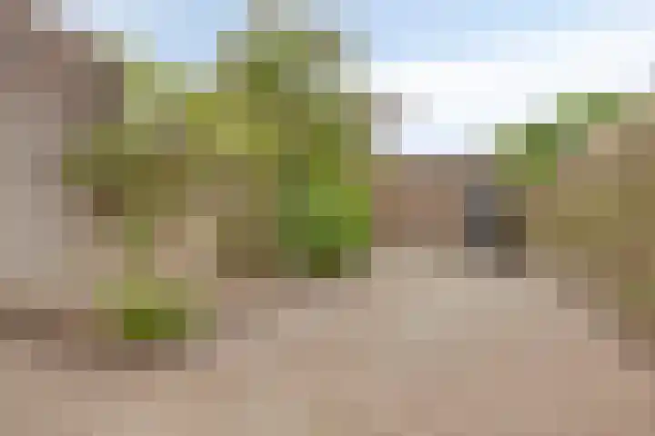 Brummenweg 64 Tilburg thumbnail 6