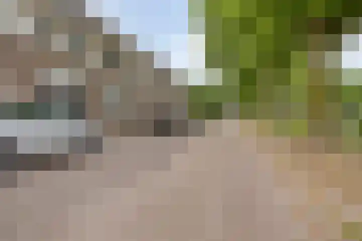 Brummenweg 64 Tilburg thumbnail 8