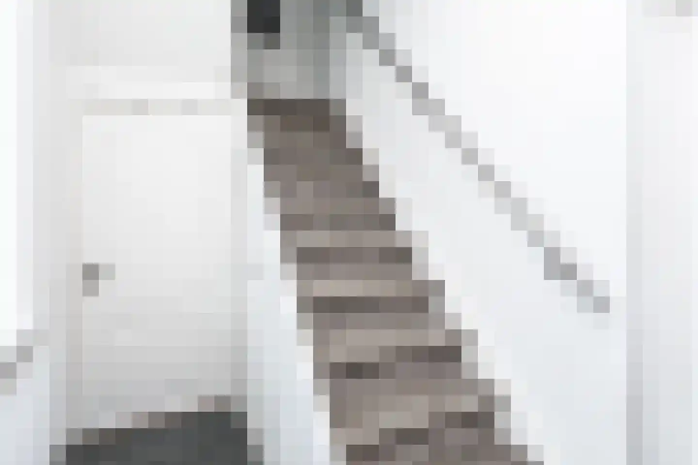 Brunahildestraat 65 Brunssum thumbnail 4