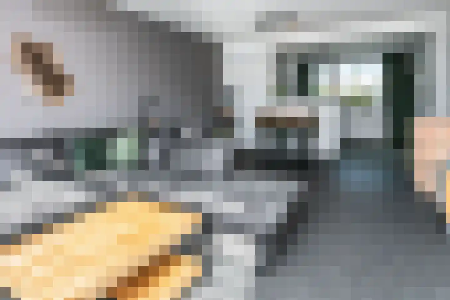Brunahildestraat 65 Brunssum thumbnail 7