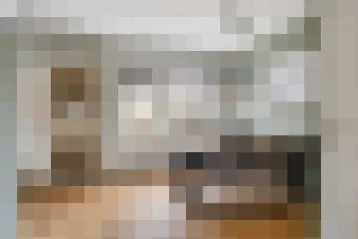 Bruneel 29 Kollum thumbnail 11