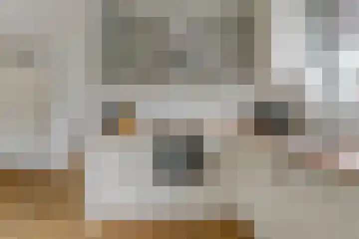 Bruneel 29 Kollum thumbnail 15