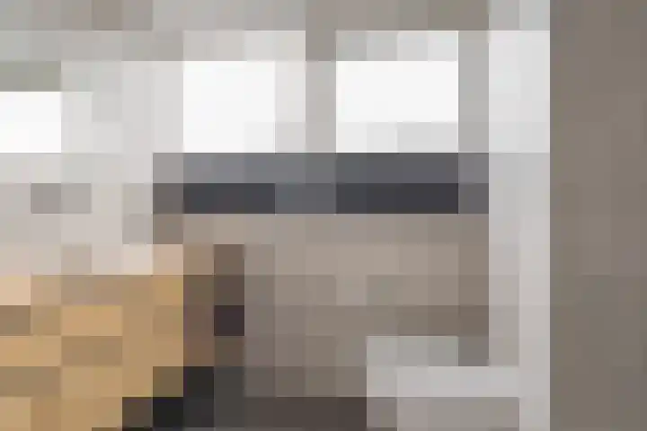 Bruneel 29 Kollum thumbnail 21