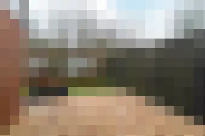 Bruneel 29 Kollum thumbnail 31