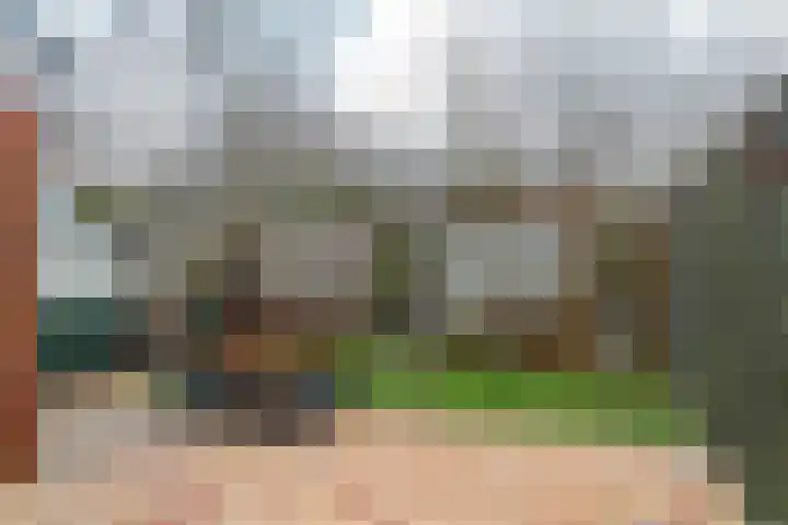 Bruneel 29 Kollum thumbnail 32
