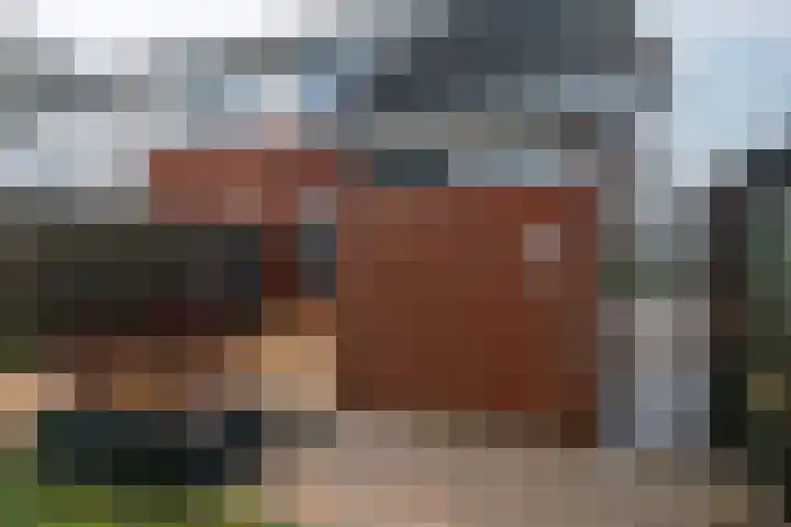 Bruneel 29 Kollum thumbnail 33