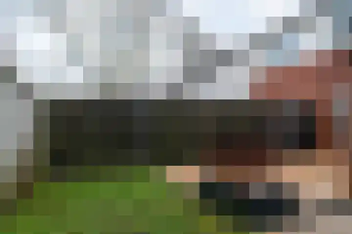 Bruneel 29 Kollum thumbnail 34