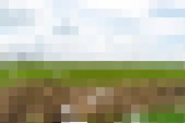 Bruneel 29 Kollum thumbnail 35