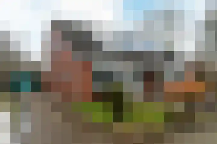 Bruneel 29 Kollum thumbnail 36