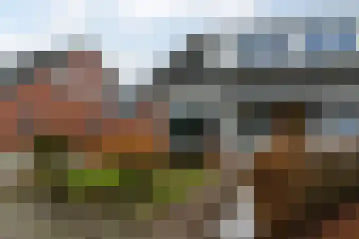 Bruneel 29 Kollum thumbnail 5