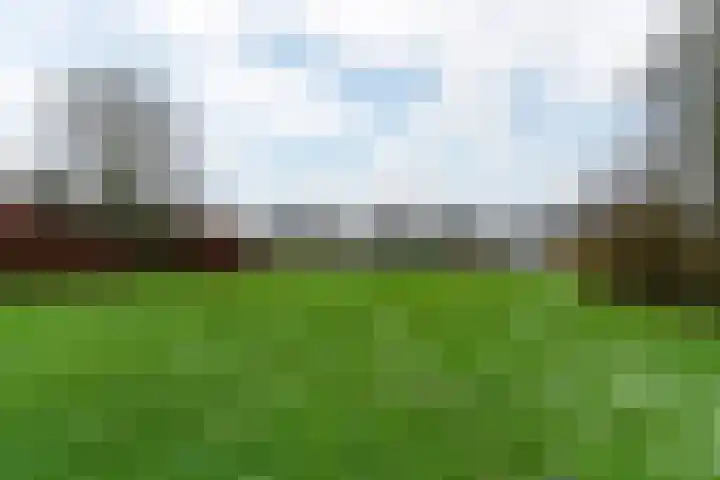Bruneel 29 Kollum thumbnail 6