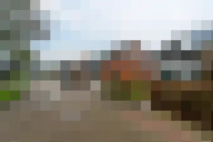 Bruneel 29 Kollum thumbnail 7