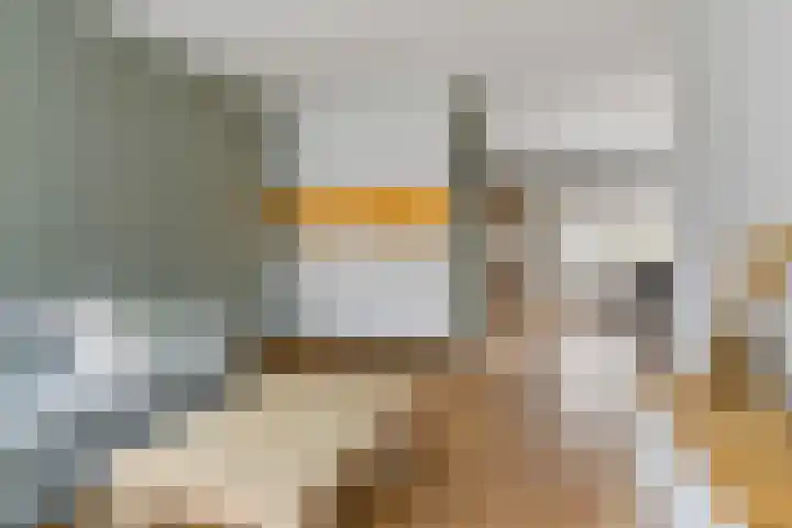 Bruneel 29 Kollum thumbnail 9