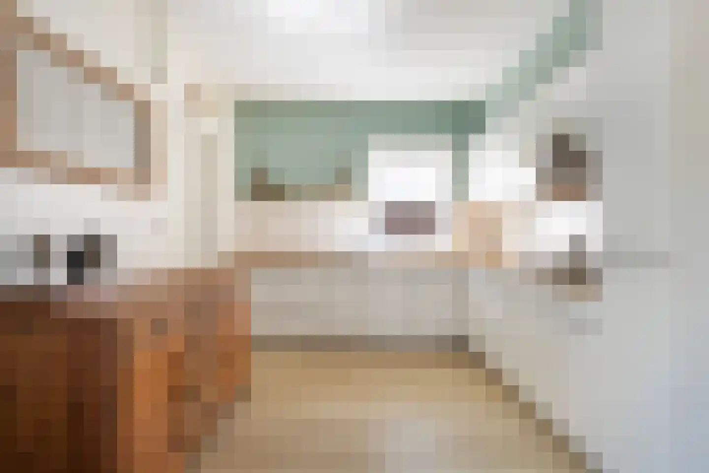 Bruneel 30 Kollum thumbnail 18