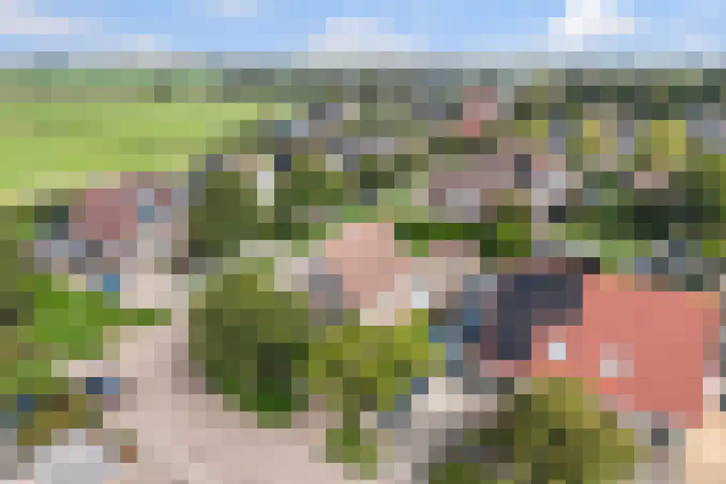 Bruneel 30 Kollum thumbnail 40