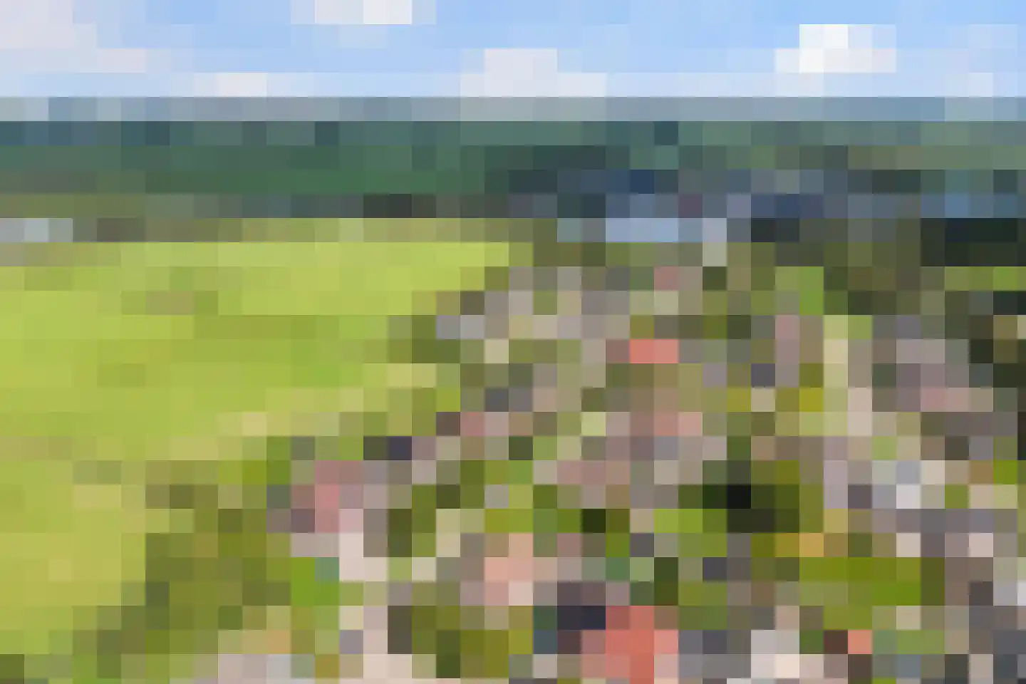 Bruneel 30 Kollum thumbnail 41