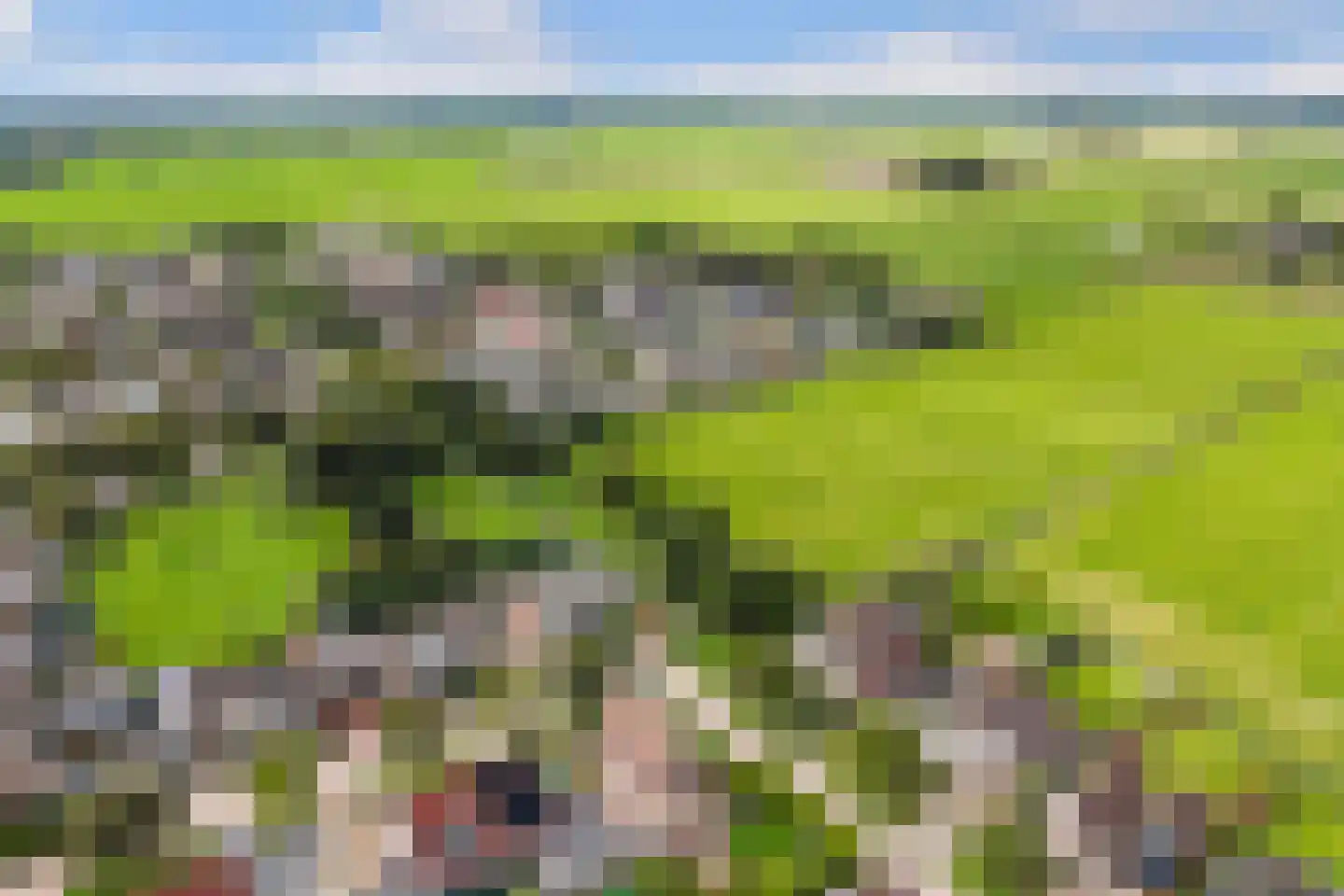 Bruneel 30 Kollum thumbnail 42