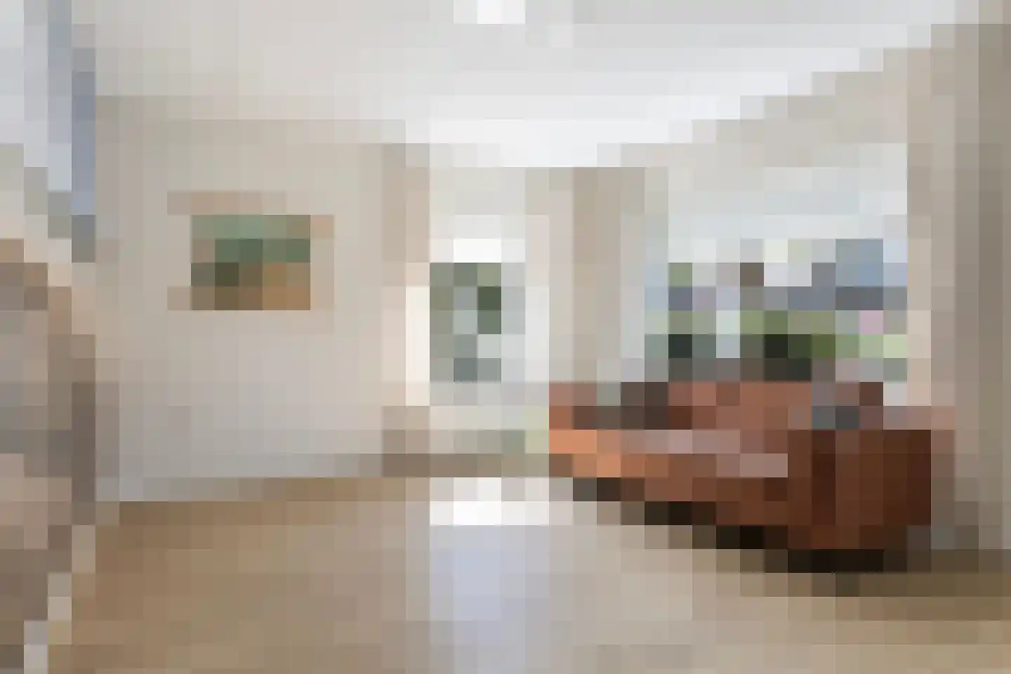 Bruneel 30 Kollum thumbnail 5