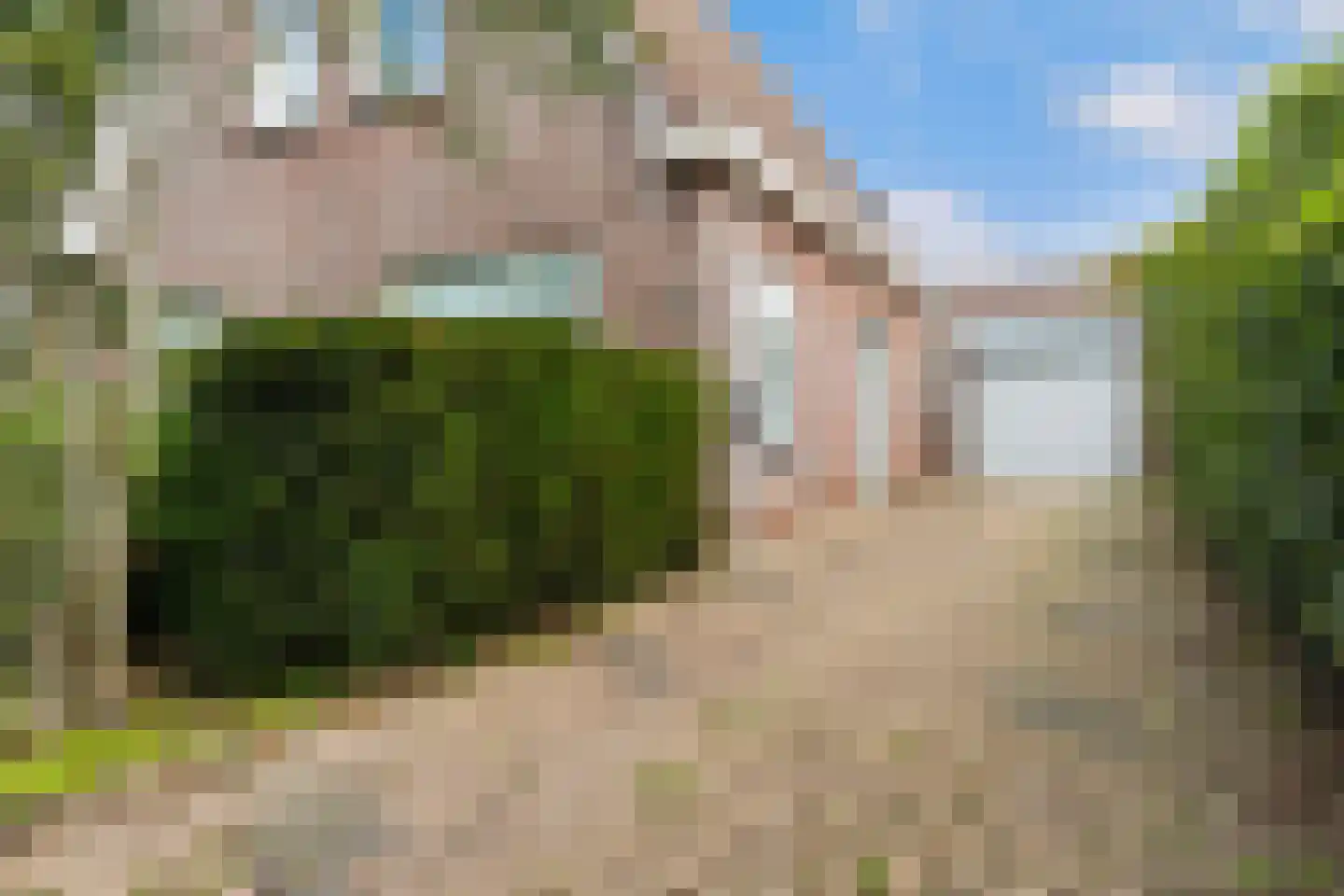 Bruneel 30 Kollum thumbnail 8