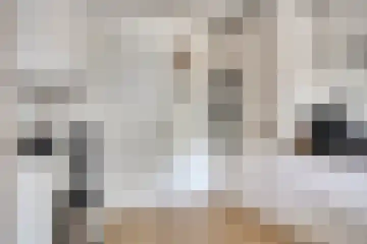 Brunel 1 Best thumbnail 18