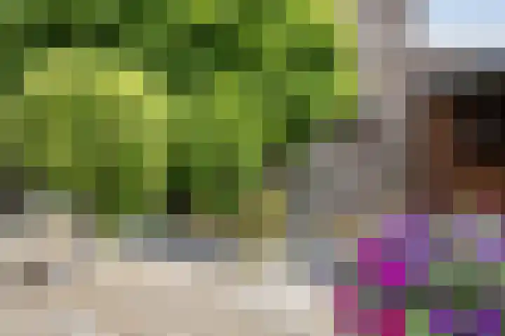 Brunel 1 Best thumbnail 36