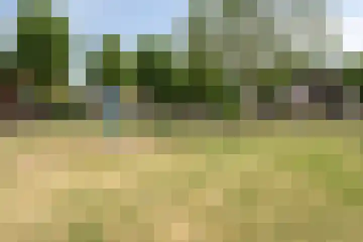 Brunel 1 Best thumbnail 40