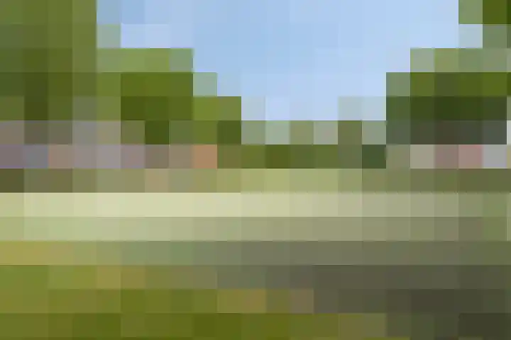 Brunel 1 Best thumbnail 41
