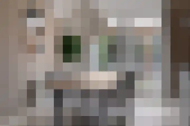 Brunel 10 Meppel thumbnail 18