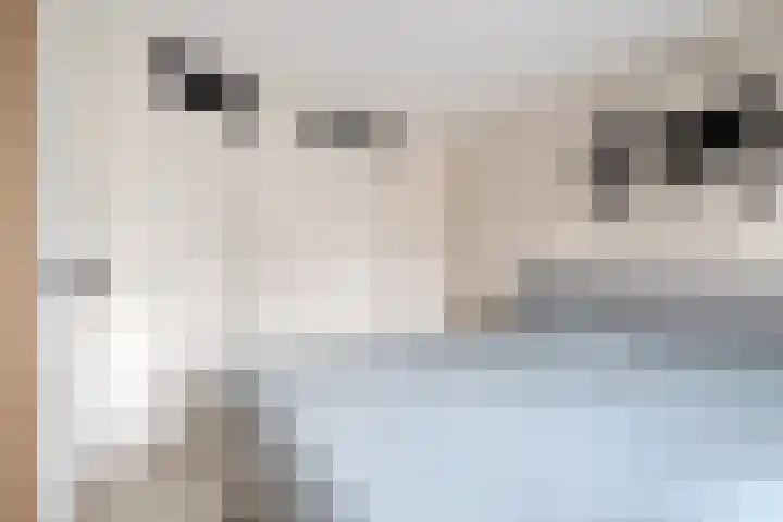 Brunel 10 Meppel thumbnail 33