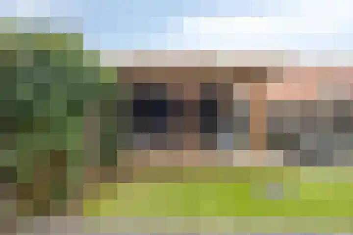 Brunel 10 Meppel thumbnail 52