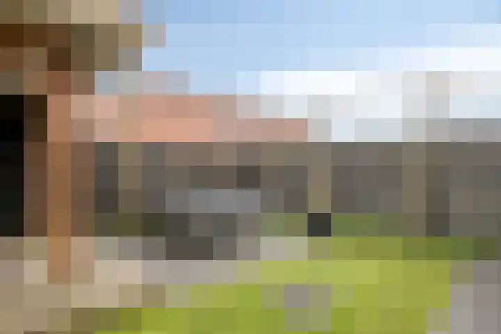 Brunel 10 Meppel thumbnail 53