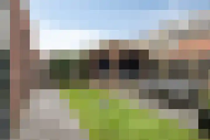 Brunel 10 Meppel thumbnail 54