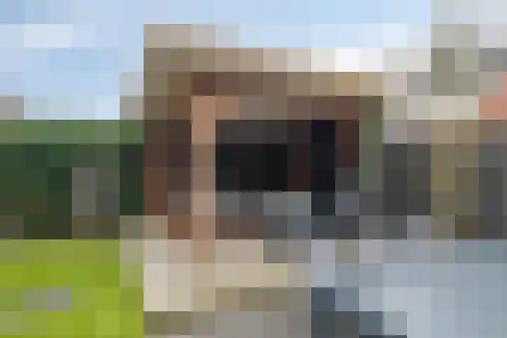 Brunel 10 Meppel thumbnail 55