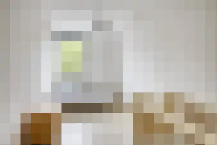 Brunel 14 Kampen thumbnail 15