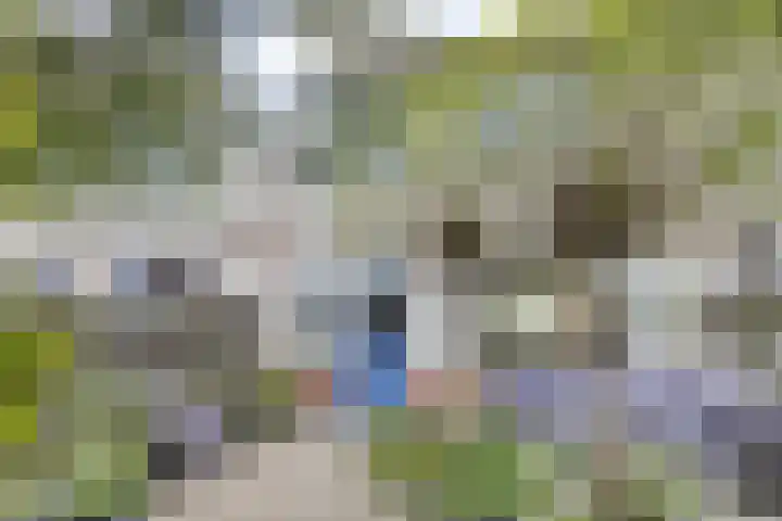 Brunel 14 Kampen thumbnail 23