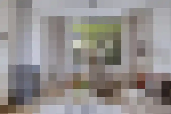 Brunel 14 Kampen thumbnail 5