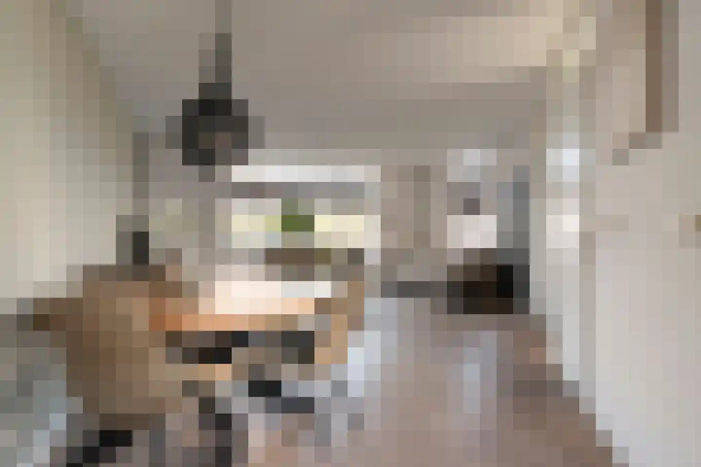 Brunel 15 Nijverdal thumbnail 9
