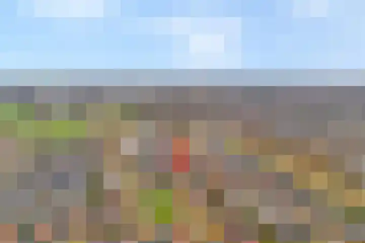 Brunel 16 Meppel thumbnail 49