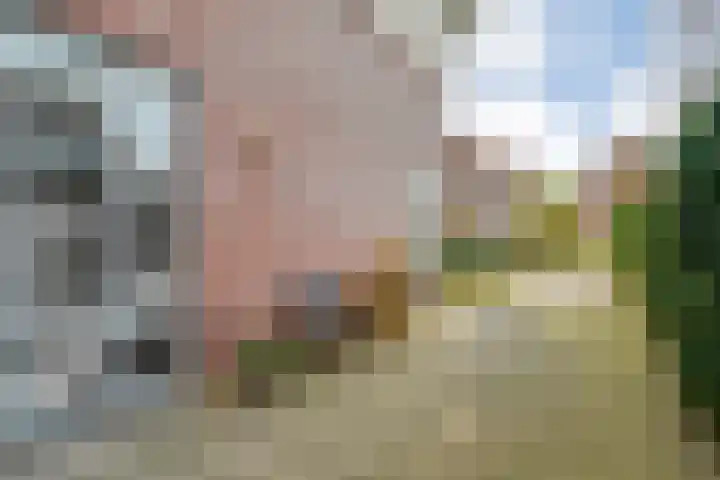 Brunel 16 Meppel thumbnail 8