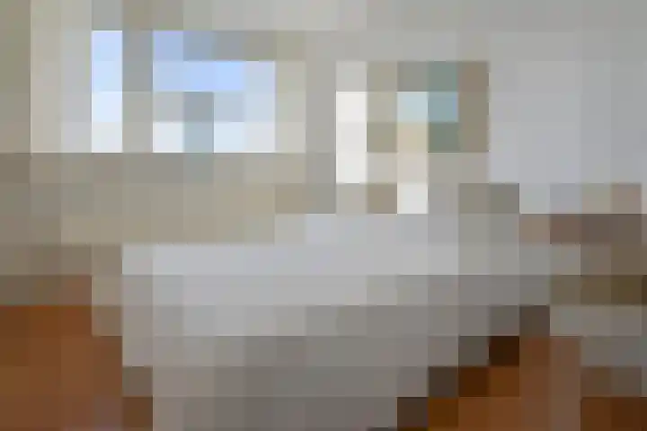 Brunel 16 Uithoorn thumbnail 9