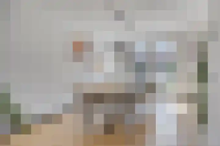 Brunel 19 Meppel thumbnail 11