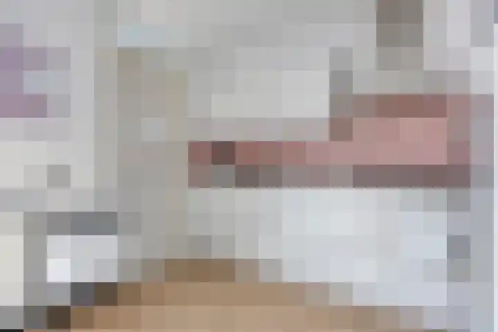 Brunel 19 Meppel thumbnail 17
